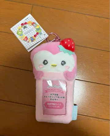 포포 트레이딩 카드 케이스 JOCHUM