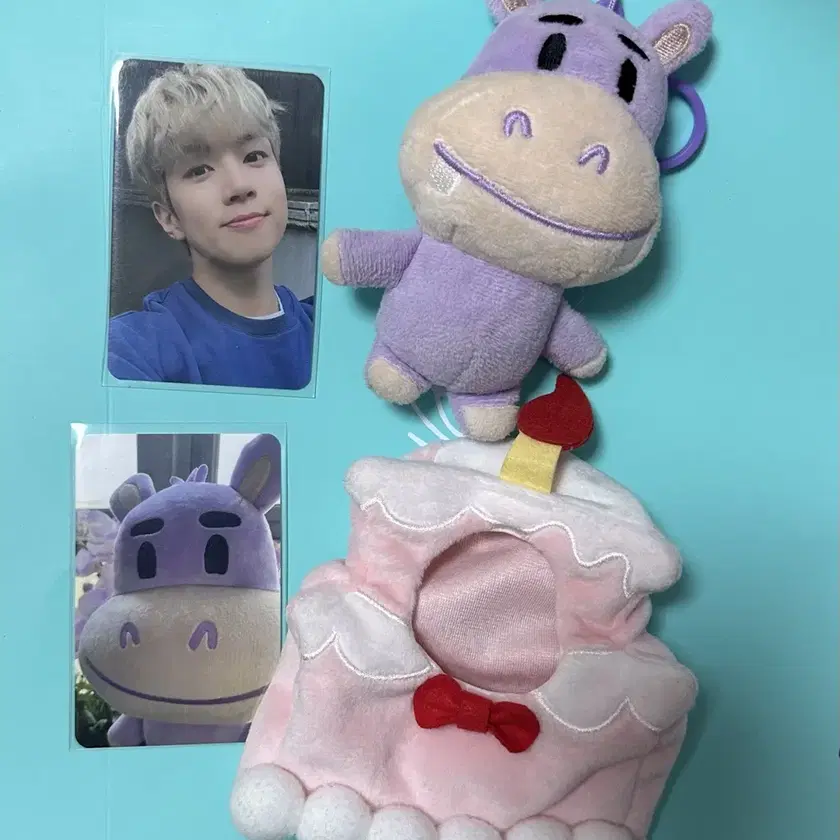 アイドル N.Flying HAMANG Mini Doll N.FLYING | 엔플라잉 Nflying doll Hamang and Jigom sell on
