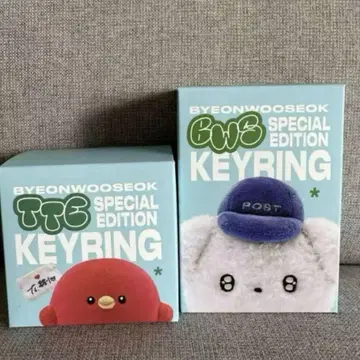 BYEONWOOSEOK KEYRING 변우석 키링 세트