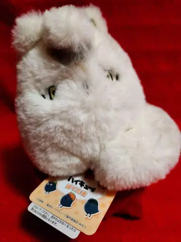 하이큐! 키타키츠네 키타 신스케 포테타마 봉제 인형 마스코트