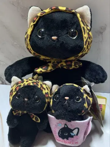 츄츄 캣 3세트