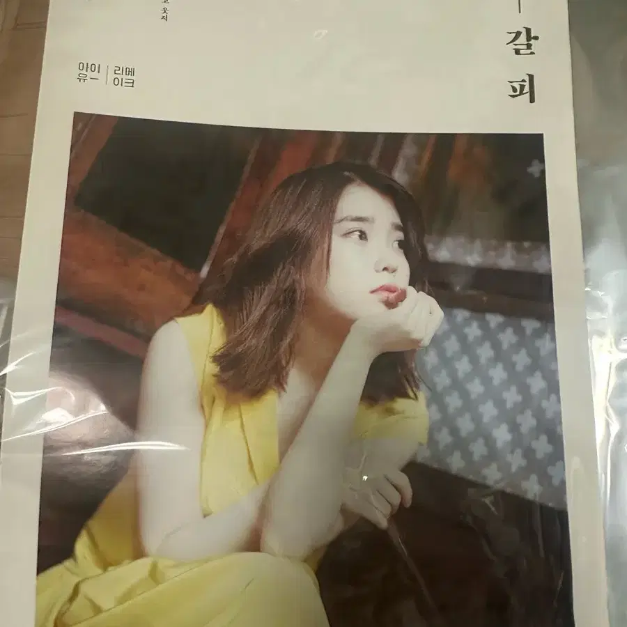 아이유 (IU) - 꽃갈피 둘 (A Flower Bookmark 2) (2nd Remake
