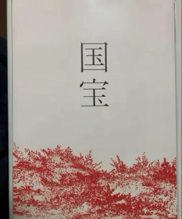 영화 국보 팜플렛 새상품 미독 요시자와 료 요코하마 유성