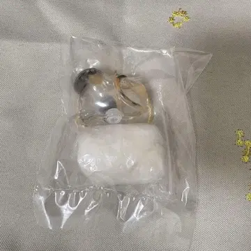 우리 아이 털뭉치 삼색 고양이