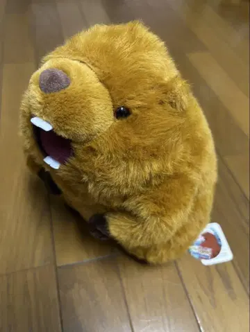 마모트 음성 봉제인형 택 포함 말하는 외침