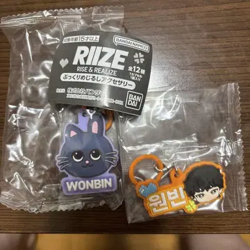 RIIZE 가챠 푹신푹신 메지루시 액세서리 원빈