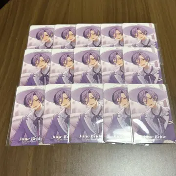 니지산지 사카키 네스 폴라로이드