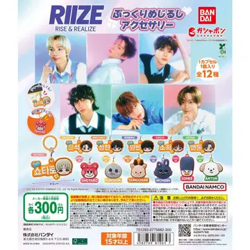 RIIZE 푹신한 메지루시 액세서리 컴프 세트