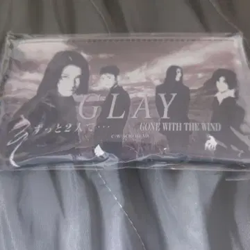 GLAY 30TH ANNIVERSARY MUSEUM 파우치