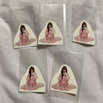 =LOVE 오타니 에미리 플레이크 씰 고양이