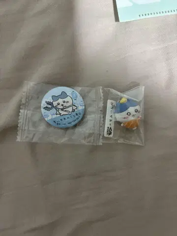 쿠라스시 치이카와(먼작귀) 콜라보 하치와레