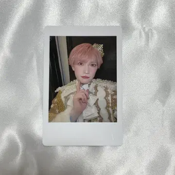 팬더드래곤 타이거 해피카