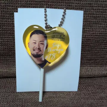 익명 배송 우츠노미야 브렉스 이카루가 세이지 선수 아크릴 키링