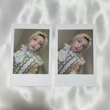 팬더 드래곤 요타 하피카