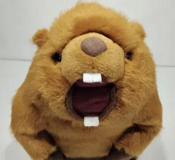 마모트 음성 봉제 인형
