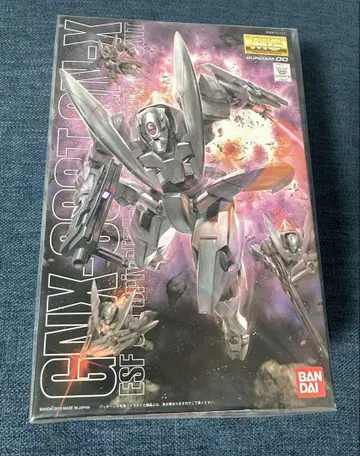 MG 1/100