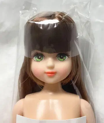 파레트 F 오타노시미 인형 리카짱 타마키 시온 사야카 제니