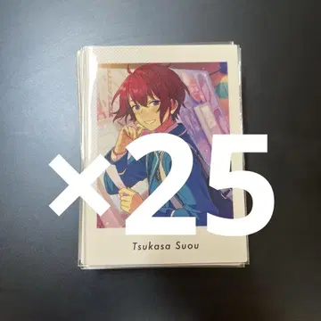 앙스타 파챠츠 스오우 츠카사 vol.4 private 25장