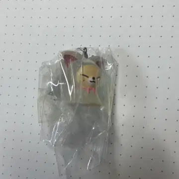 straykids 메지루시 키링 아이엔