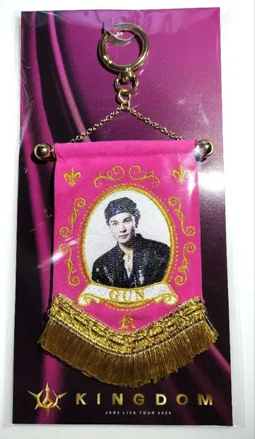 3대째 JSB KINGDOM 비주얼 미니 태피스트리 이와타 타카노리