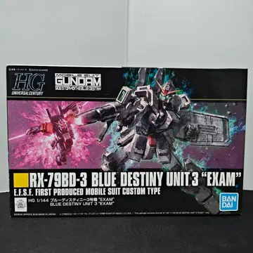HG RX-79BD-3 블루 데스티니 3호기 EXAM