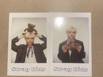 Stray Kids 시그리 2022 폴라로이드 필릭스