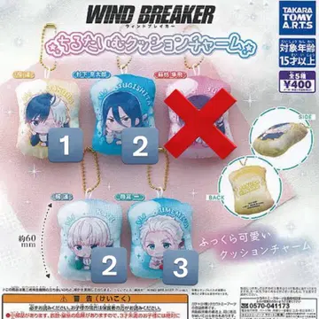 WIND BREAKER 치루타이무 치루타이무 쿠션 참 묶음 판매