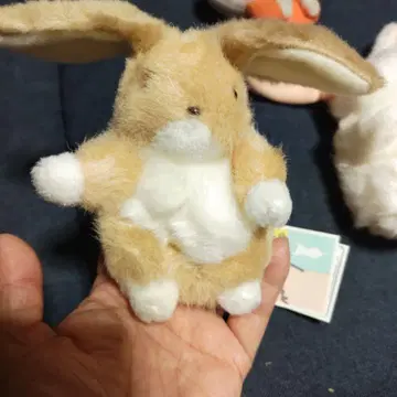 토끼 기린 봉제 인형 세트