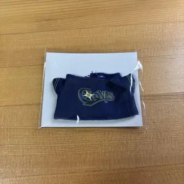 니지산지 코시엔 2025 제국립 코바스 고등학교 니지파페 코시엔 T셔츠