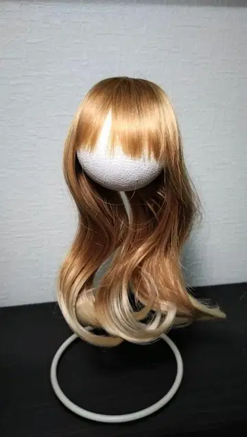 SD DD 가발