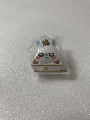 치이카와 쿠라스시 콜라보 모몽가