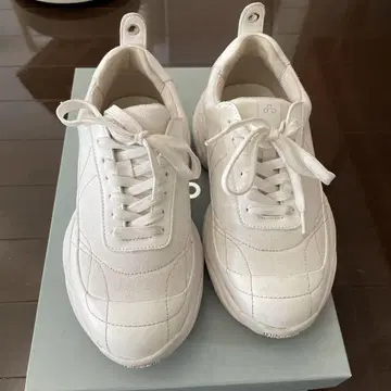 OAO SUNLIGHT (WHITE) 선라이트