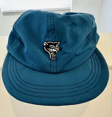 Answer4* This is my cap '블랙 팬서' 블루