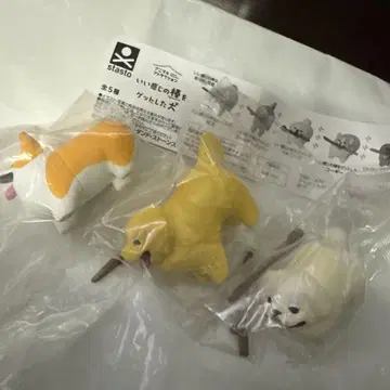 좋은 막대기를 겟했다! 개 3종 세트