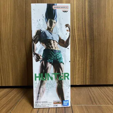 헌터헌터 피그 라이프 곤 피규어