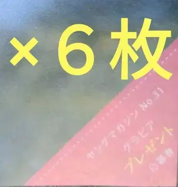 하즈키 쿠레아 사인 폴라로이드 응모권 6장 주간 영 매거진