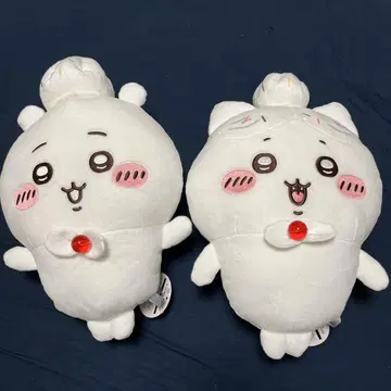 치이카와 생일 BIG 봉제 인형 치이카와 하치와레 2종 세트