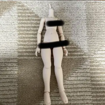 MDD 모치아시 S 가슴