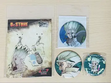 이시가미 치쿠 Dr.STONE 캔뱃지 아크릴 키링 묶음 판매