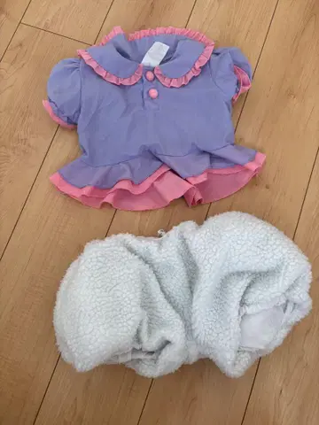 데이지 코스프레