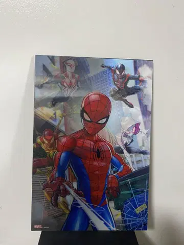 The Amazing Spider-Man 스파이더맨 3D 아트 패널