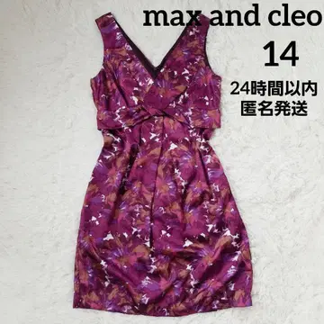 max and cleo 올 패턴 원피스 퍼플 계열 빅 사이즈 XL LL