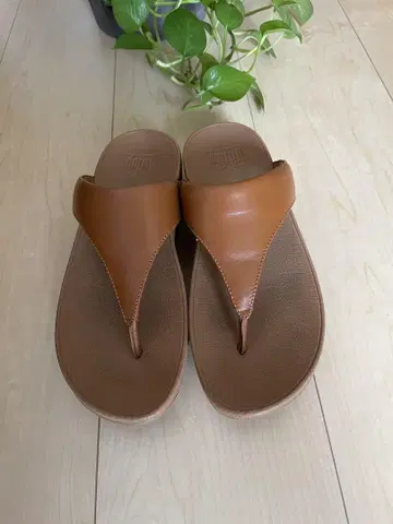 FitFlop 브라운 플립플랍 US 7