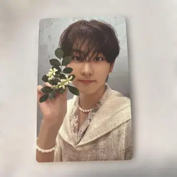 ENHYPEN JUNGWON 정원 orange blood 트레이딩 카드