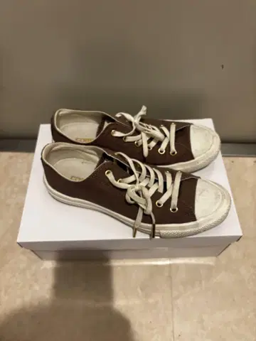 브라운 캔버스 로우 컷 스니커즈