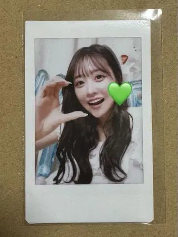사쿠라이 유이 생일 특집 폴라로이드