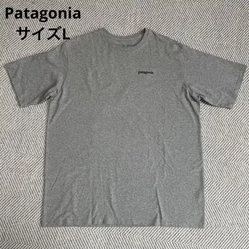 Patagonia 남성용 반팔 티셔츠 그레이 사이즈 L