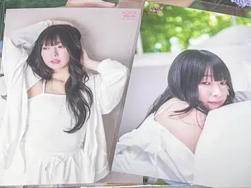 VOICE 스타일 VOL.2 스가 카즈와 브로마이드 포함 응모권 미포함