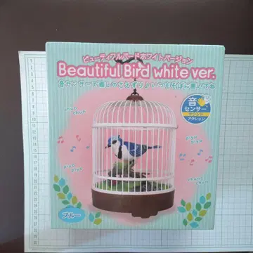 뷰티풀 버드 화이트 버전 블루