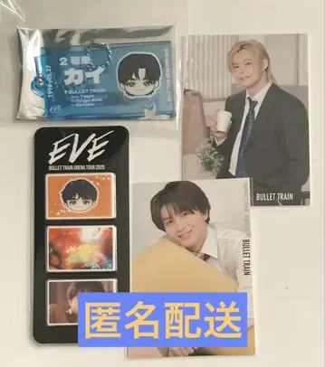 초특급 EVE 카이 하루 트레이딩 카드 티켓 키링 사진 그레이 부품